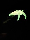 Anomalocaris  glow In The Dark    Replica  paleolithic Peach 