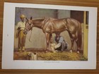 1923 Standard Bred Horse Bookplate Print Painted By Edward Herbert Miner Ng57