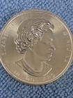 2017 Royal Canadian Mint Twin Maple Leaf 2oz 9999 Silver Coin Maple Leaf Privy