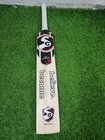 Sg Player Edition English Willow  Cricket Bat Light Weight Bat   Bullet Ping  