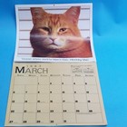 9 Lives Morris The Cat Calendar 1983