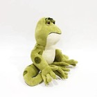 Disney Movie Prince Peripherals The Princess And The Frog Plush Toy