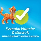 2 Bag Purina Kit And Kaboodle Original Dry Cat Food For Adult Cats  30 Lb Bag