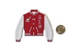 Delta Sigma Theta Varsity Letterman - 4 X  3 5     Iron On   Sew On Patch