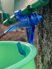3 Blue Maple Syrup Tap   Spile For Use With Sap Buckets Free Shipping