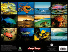 2026 Calendar Hawaii Marine Tide And Moon Phase
