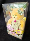 1998 Vtg Mollyberry Fisher Price Briarberry Collection Bear In Box Green Dress