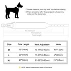 Wide Nylon Padded Dog Collar Personalized With Name Rottweiler Labrador M-xl 