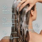 Moroccanoil Frizz Control Shampoo 8 5 Oz Argan Oil Sulfate Free All Hair Types