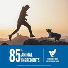 Orijen Original Grain Free High Protein Dry Dog Food  4 5-lb Bag Free Shipping