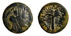 Phoenicia  Tyre  Time Of Hadrian  117-138  Tyche Palm Tree Roman Coin