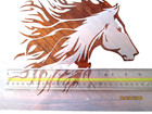 Horse Stencil Reusable Skull 10 Mil Mylar Horse
