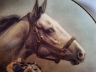 1987 Fred Stone Lady s Secret Racehorse Horse Gold Collector Plate Coa