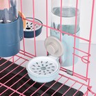 Rabbit Hamster Pet Drinking Bowl Bottle Feeder Guinea Pig Water Fountain 500ml