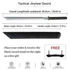 Tactical Jinyiwei Sword  Rail Steel Blade  Alloy Fittings Carbon Fiber Scabbard