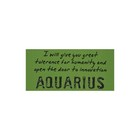 Watchover Voodoo Doll - Aquarius