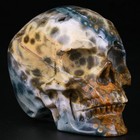 2 5  Ocean Jasper Carved Crystal Skull  Realistic  Crystal Healing