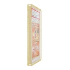 Gradedguard  Psa - Confetti - Limited Edition  graded Case 
