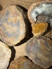 11 4 Pounds Kentucky Agate Half Nodules   Clean Cut Rough Estil Powell Jackson