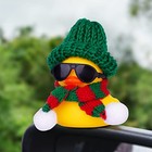 Rubber Duck Car Ornaments 2pack Winter Duck Car Dashboard T-red green Wool Cap