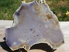 Tcr Burro Creek Agate jasper lapidary Polished Slab 160 Grams