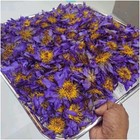 Nymphaea Caerulea Blue Lotus Flowers Dried Premium Quality Egyptian Natural Herb