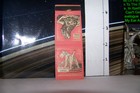 Rare Vintage Matchbook Cover Dogs Cocker Spaniel Wire Haired Terrier Illustrated