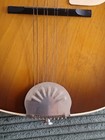 Vintage Harmony Mandolin