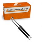 2 Pc Lift Supports Gsni6601kjj For An Industrial Printing Press