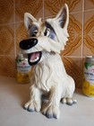 Pets With Personality - Mac The West Highland Terrier