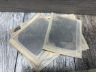 Vintage Microscope Slide Negative Lot Science Botany Plants Bugs Photomicrograph