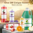 Fragrance Oil For Candle Soap Making Incense Home Burner Warmer Scented Bulk Lot