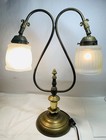 Vtg Double Arm Brass Gooseneck Lamp Rotating Glass Shades