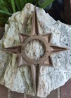 Mcm Atomic Starburst Brass Door Knob Plate Escutcheon  Mid Century Vintage Star