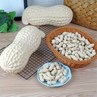 Big Size Fake Peanut Large Artificial Plastic Shell Decoration Display 1 Pcs