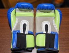 Everlast Blue Green Bag Boxing Gloves 12 Oz Pair Training Sparring Equipment