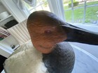 Shooting Rig Collection Ducks Unlimited Canvasback Duck Sculpture Dick Rhode