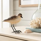 The Bridge Collection Realistic Shorebird Figure - Sandpiper Bird Statue   Ha   