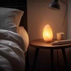 Exquisite 5-salt Lamp Himalayan Rock Bowl Wooden Affordable For Decor Enthusiast