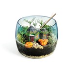 Hagrid s Hut Terrarium Wizarding World Harry Potter Clementoni