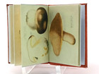Dolls House 1 12 Scale Miniature Book  Edible Mushrooms  1869