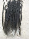 Wholesale 100pcs Natural Great Black Heron Feathers Silk 4-6inch 10-15cm