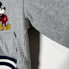 Walt Disney World Park Sweatshirt Hooded Hoodie Toddler Gray Youth Xs
