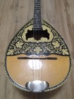 Greek 80s Historical Electric Bouzouki   Softcase  300 Backing Track With Scores