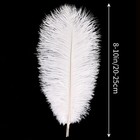 Tharaht White Ostrich Feathers 12pcs Natural Bulk 8-10inch 20cm-25cm For Crafts