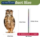 3 Pack Bird Scare Owl  Reflective Hanging Decoration  Dual-side Printed To Keep