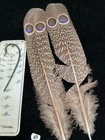 Grey Peacock Pheasant  Double  Eye Tail Feathers   49