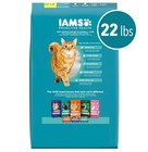 Iams Proactive Health Chicken And Turkey Dry Cat Food  22 Lb Bag
