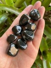 Grade A   Snowflake Obsidian Tumbled Stones  0 75 -1  Polished Stone  Bulk Lot