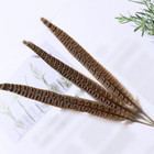 10 Pcs Long Pheasant Tail Feathers Natural Pheasant Feathers Floral Arrangement 